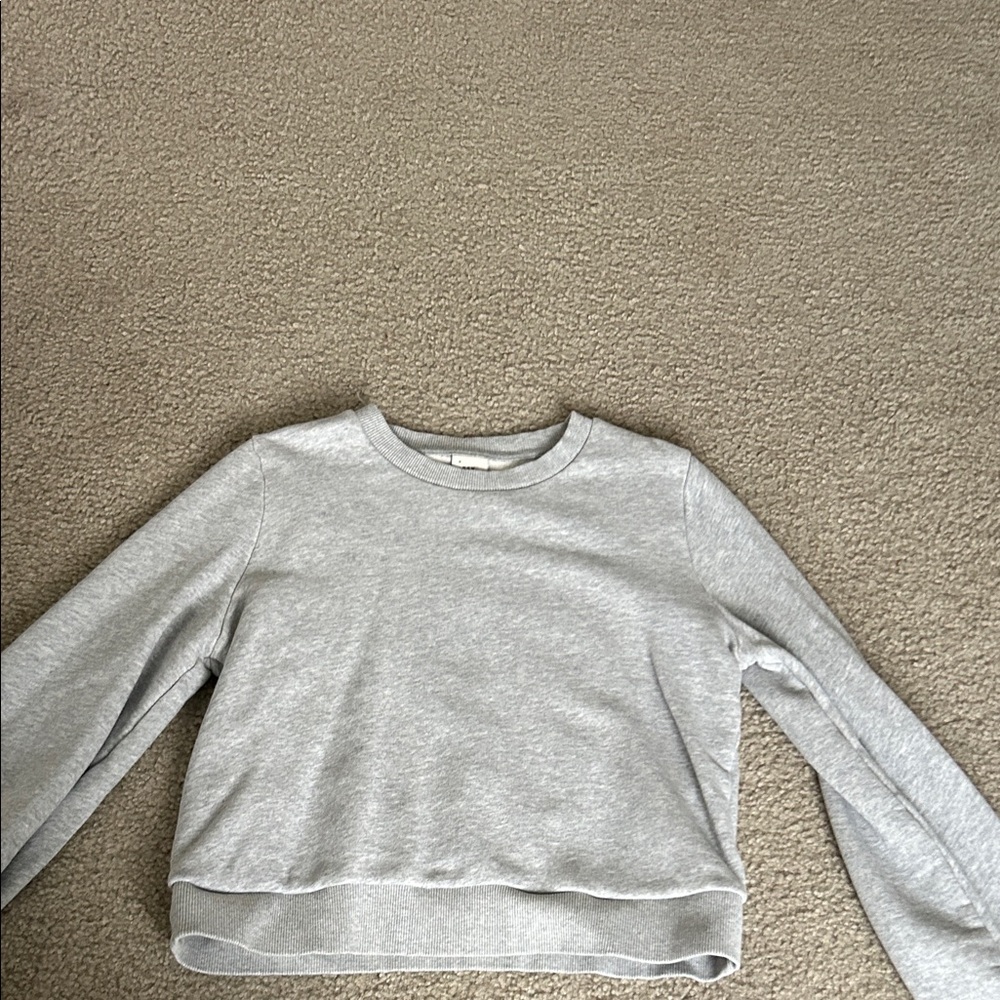 Gray Cropped Long Sleeve Sweatshirt